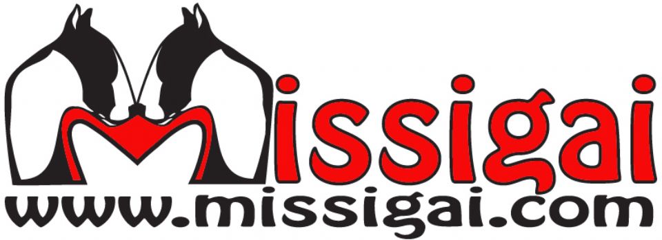 Missigai Bull Terriers & Parson Russell Terriers